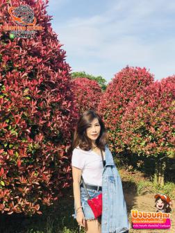 ทัวร์เกาหลี 