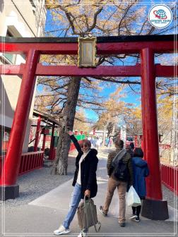 ทัวร์ญี่ปุ่น 