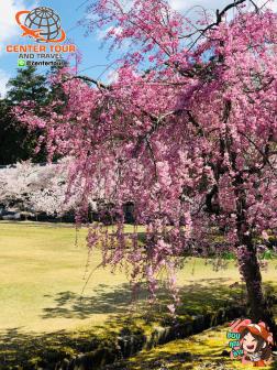 ทัวร์ญี่ปุ่น 