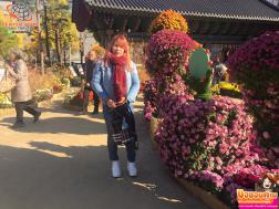 ทัวร์เกาหลี 