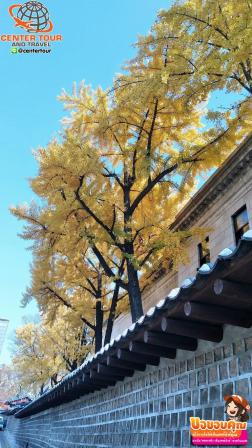 ทัวร์เกาหลี 