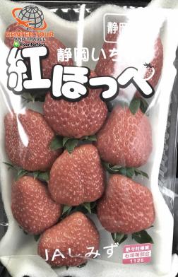 ทัวร์ญี่ปุ่น 