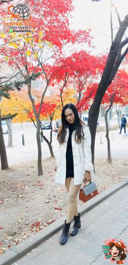 ทัวร์เกาหลี 