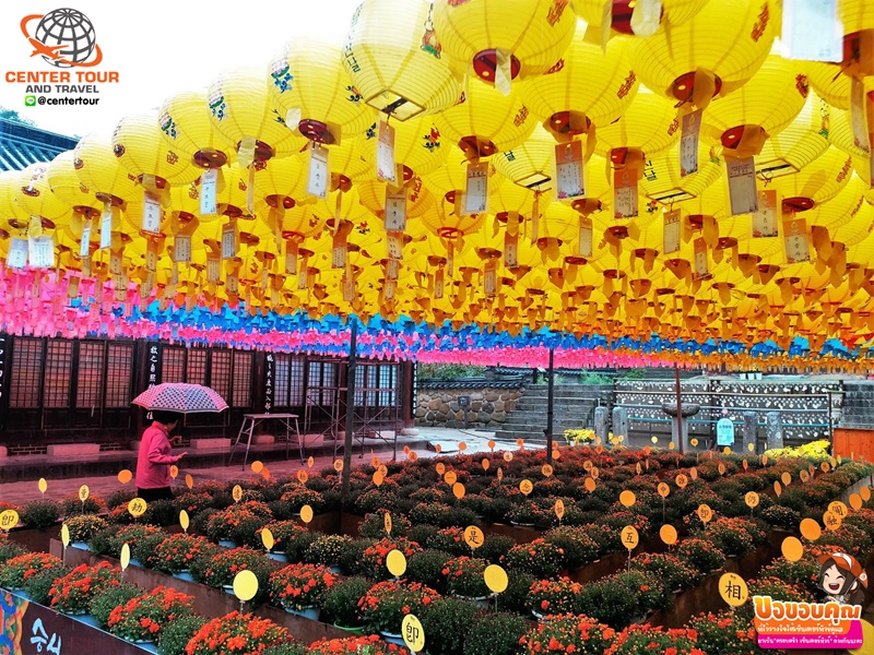 ทัวร์เกาหลี 