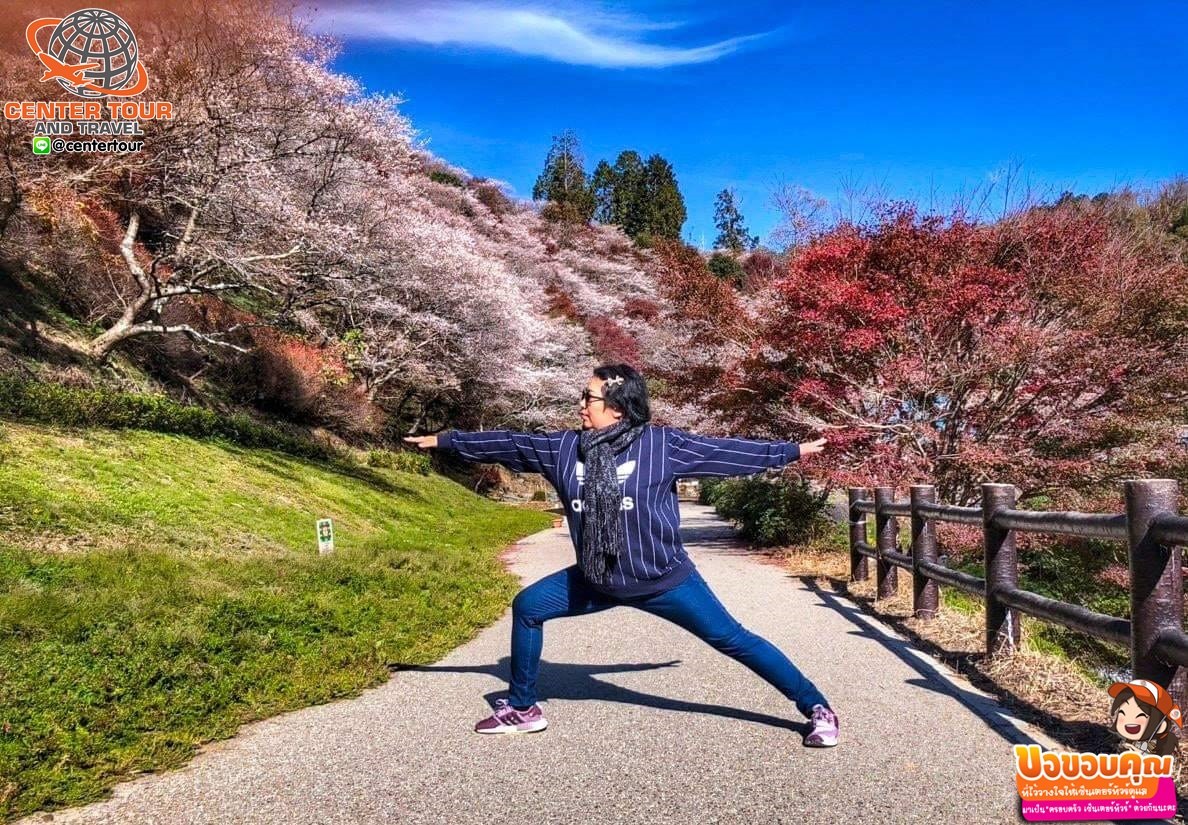 ทัวร์ญี่ปุ่น 