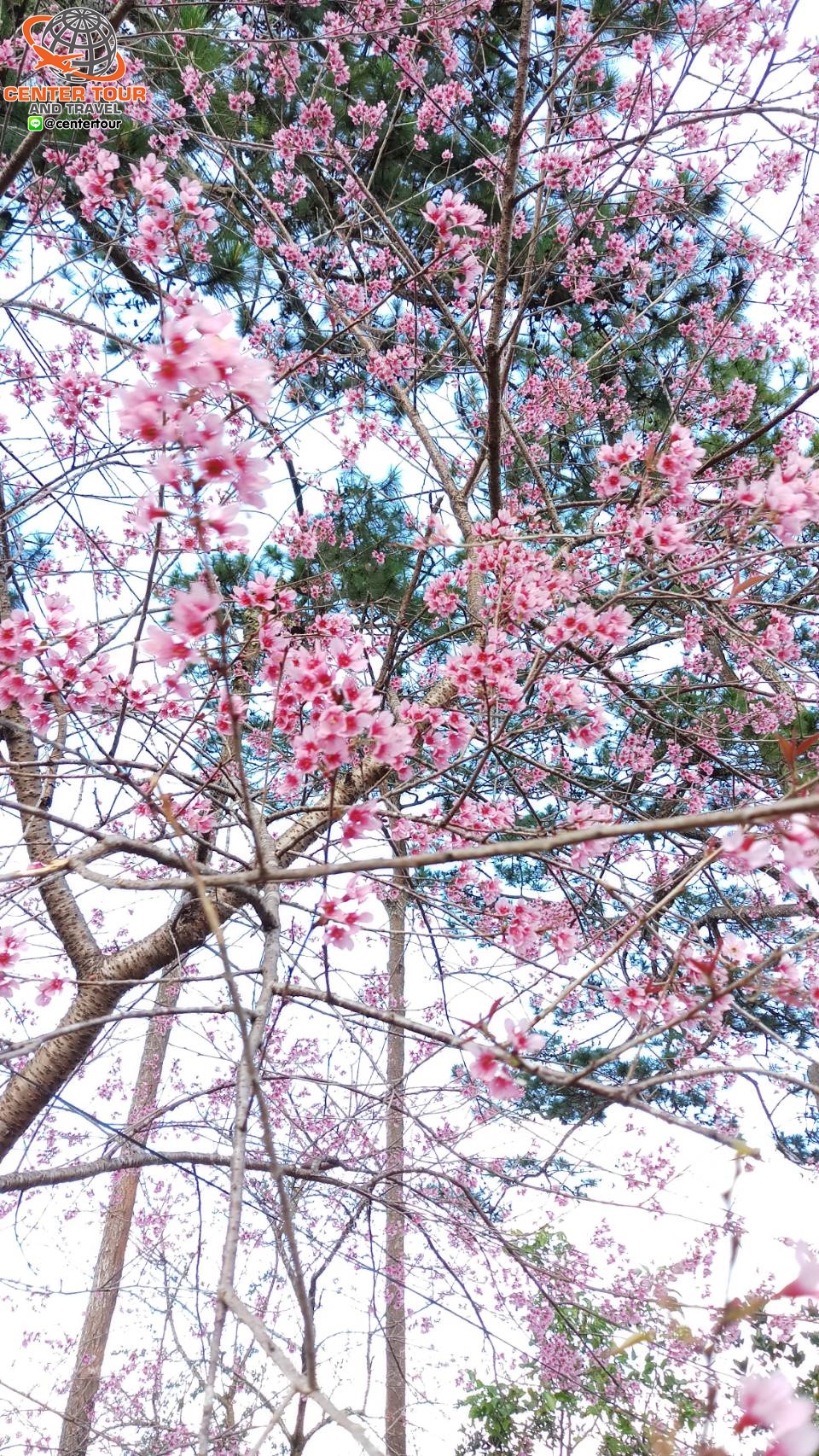 ทัวร์เวียดนาม 