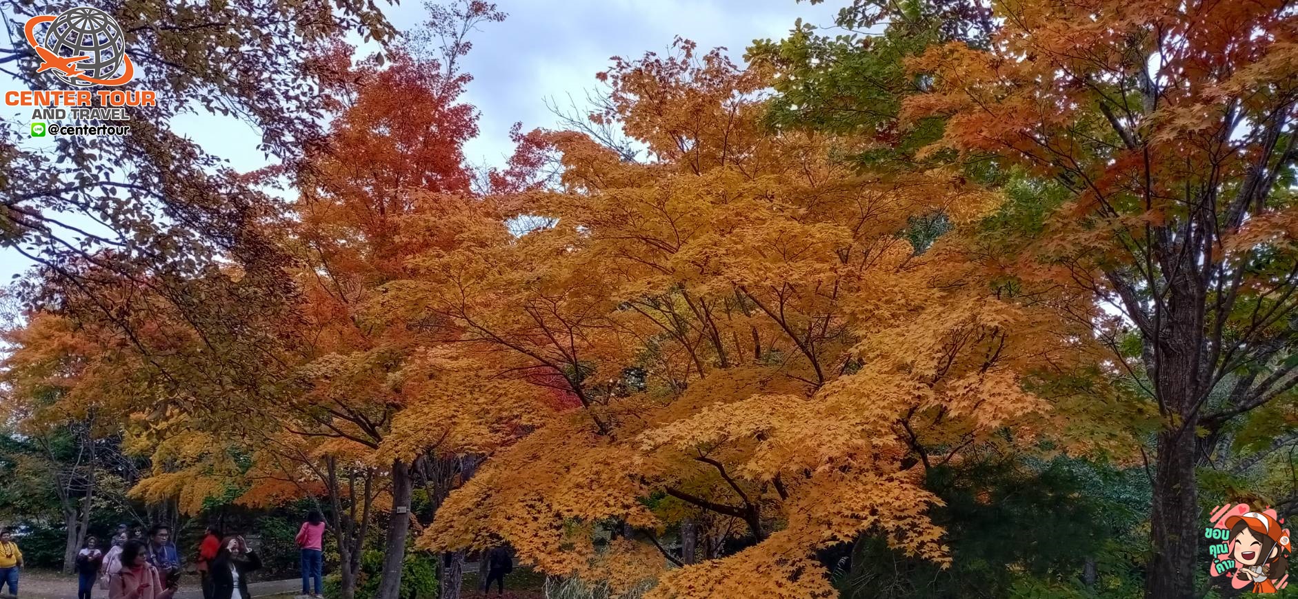 ทัวร์ญี่ปุ่น 