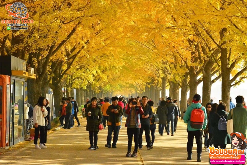 ทัวร์เกาหลี 