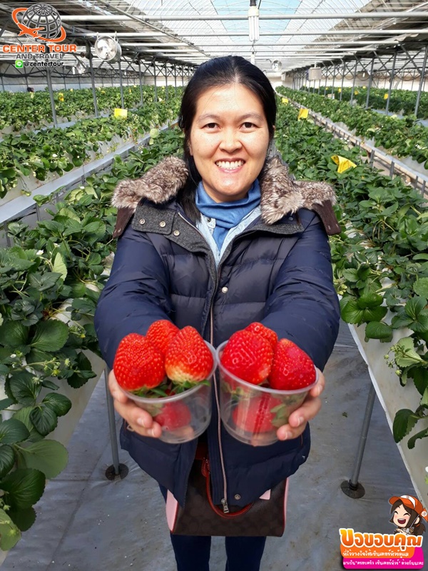 ทัวร์เกาหลี 