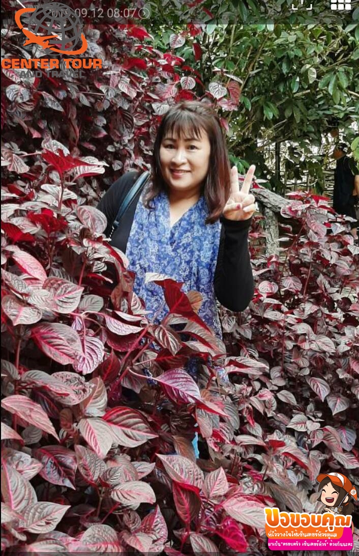 ทัวร์เวียดนาม 