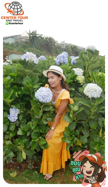 ทัวร์เวียดนาม 