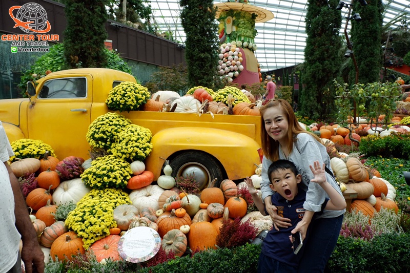 ทัวร์สิงคโปร์ 