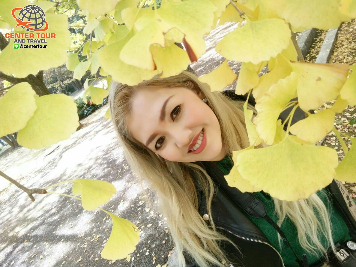 ทัวร์ญี่ปุ่น 