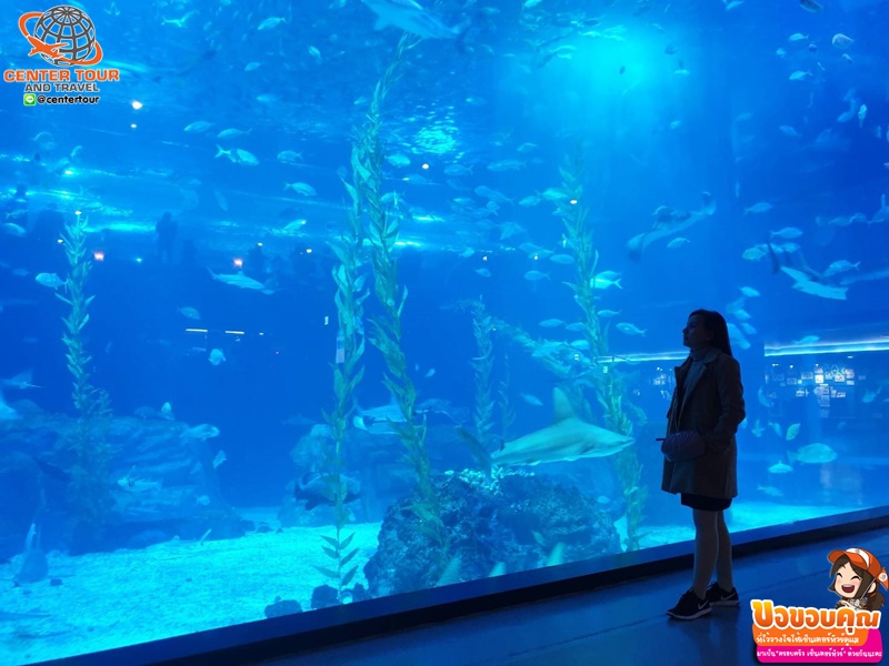 ทัวร์เกาหลี 