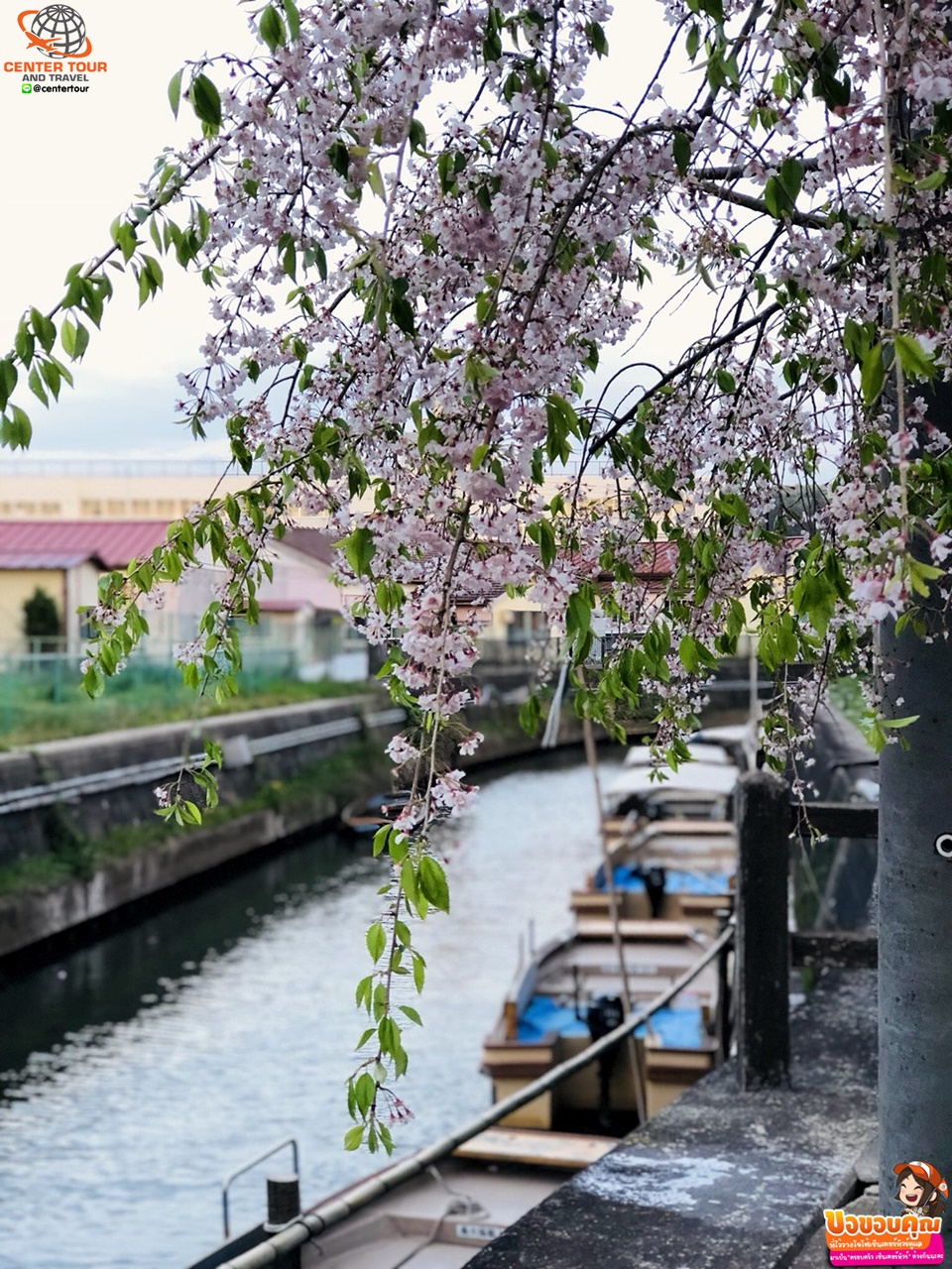 ทัวร์ญี่ปุ่น 