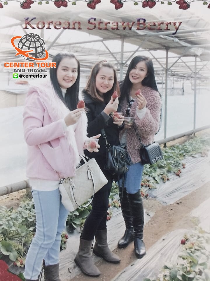 ทัวร์เกาหลี 