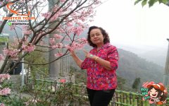 รีวิวลูกค้า ทัวร์ไต้หวัน