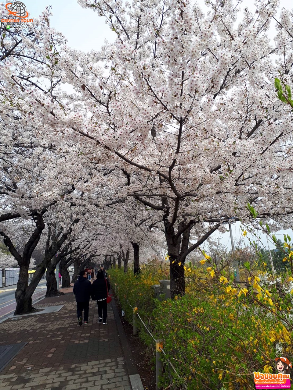 ทัวร์เกาหลี 