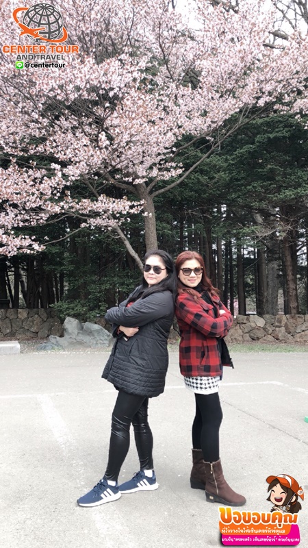 ทัวร์ญี่ปุ่น 