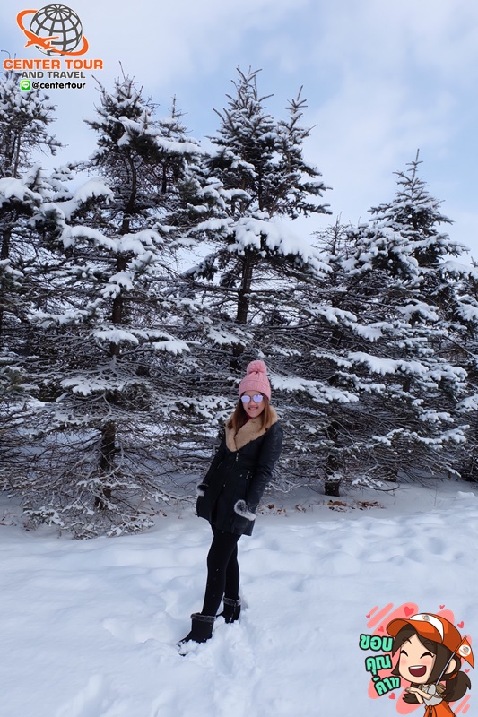 ทัวร์ญี่ปุ่น 