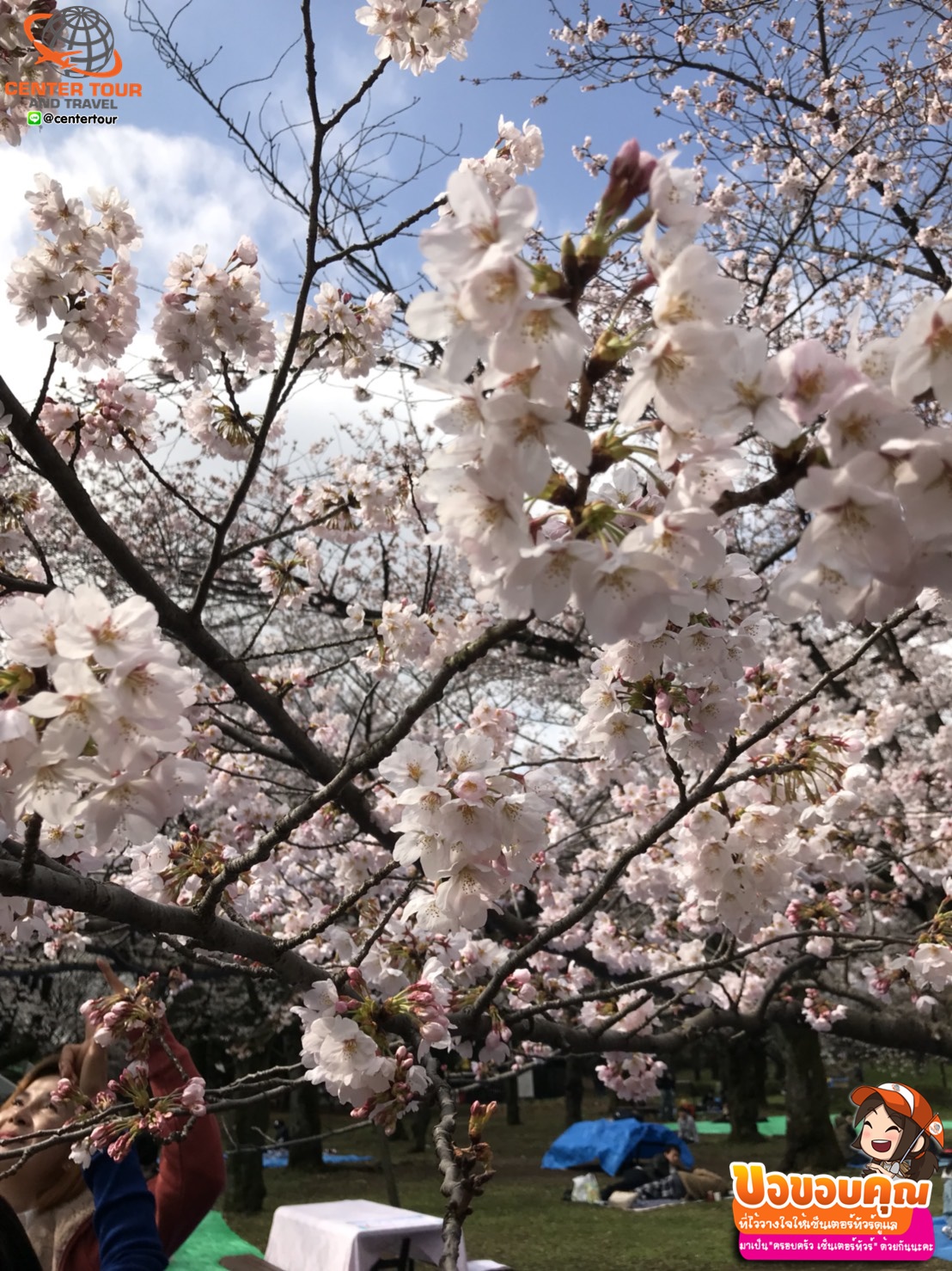 ทัวร์ญี่ปุ่น 