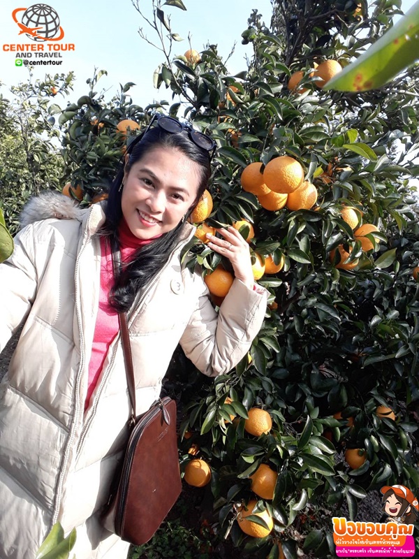 ทัวร์เกาหลี 