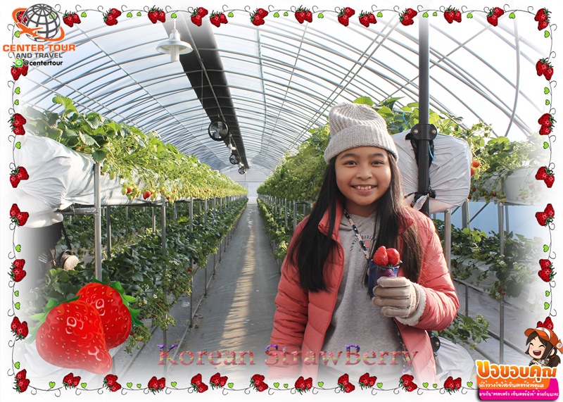 ทัวร์เกาหลี 