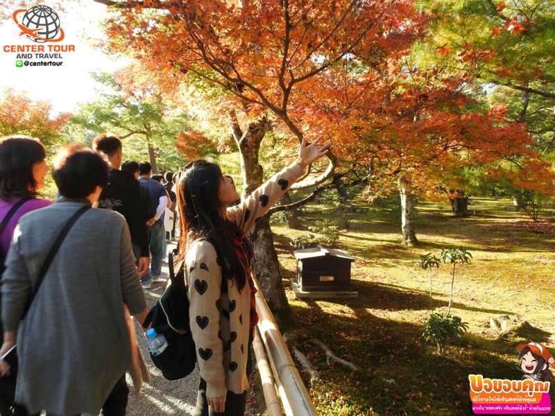 ทัวร์ญี่ปุ่น 