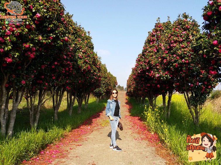 ทัวร์เกาหลี 