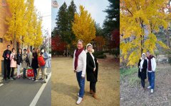 รีวิวลูกค้า ทัวร์เกาหลี