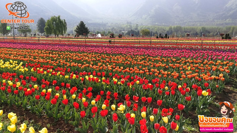 ทัวร์ญี่ปุ่น 