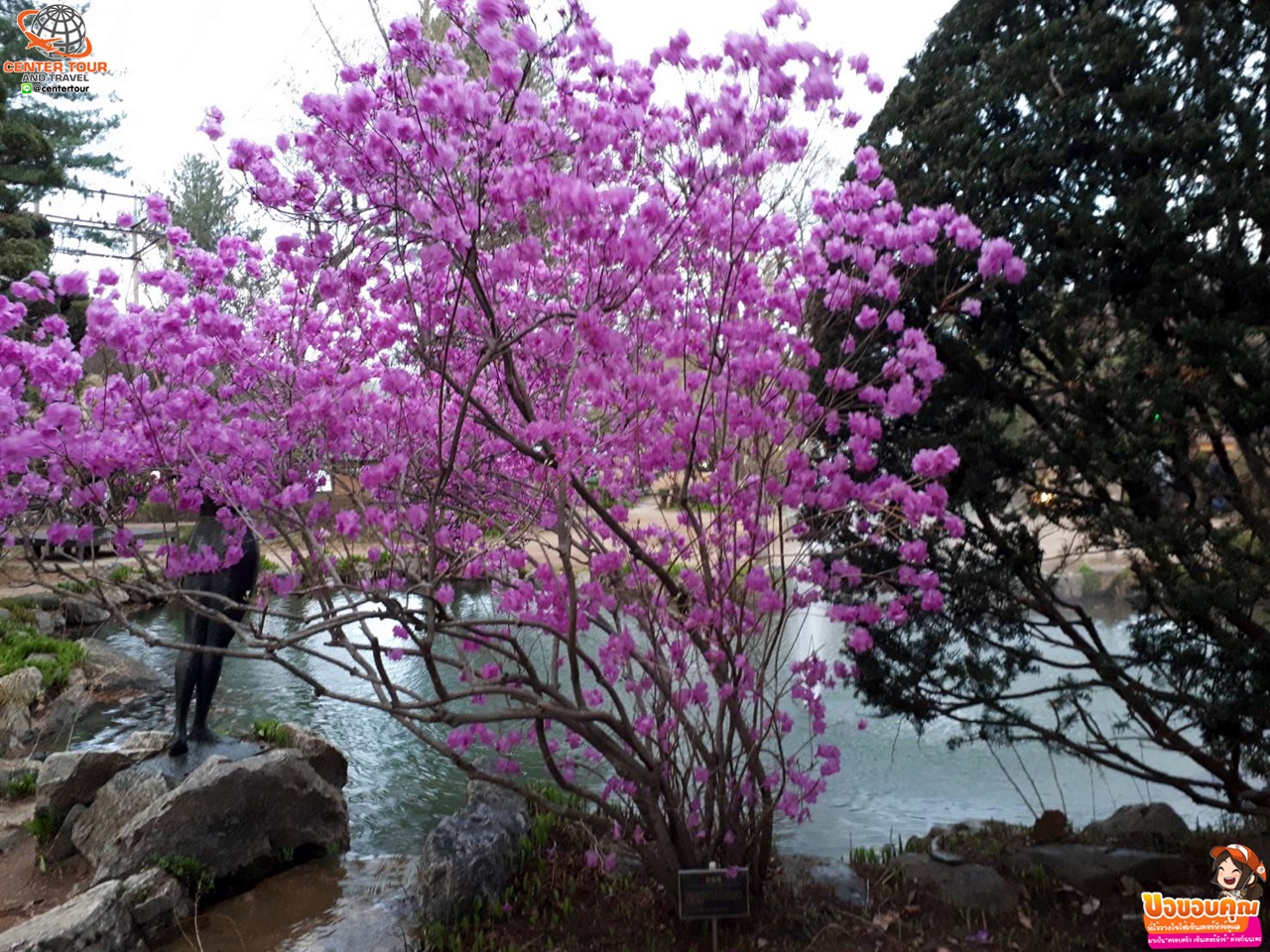 ทัวร์เกาหลี 