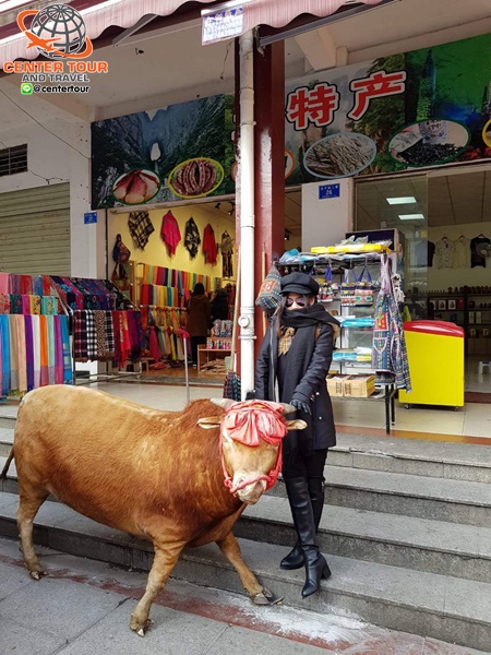 ทัวร์จีน 