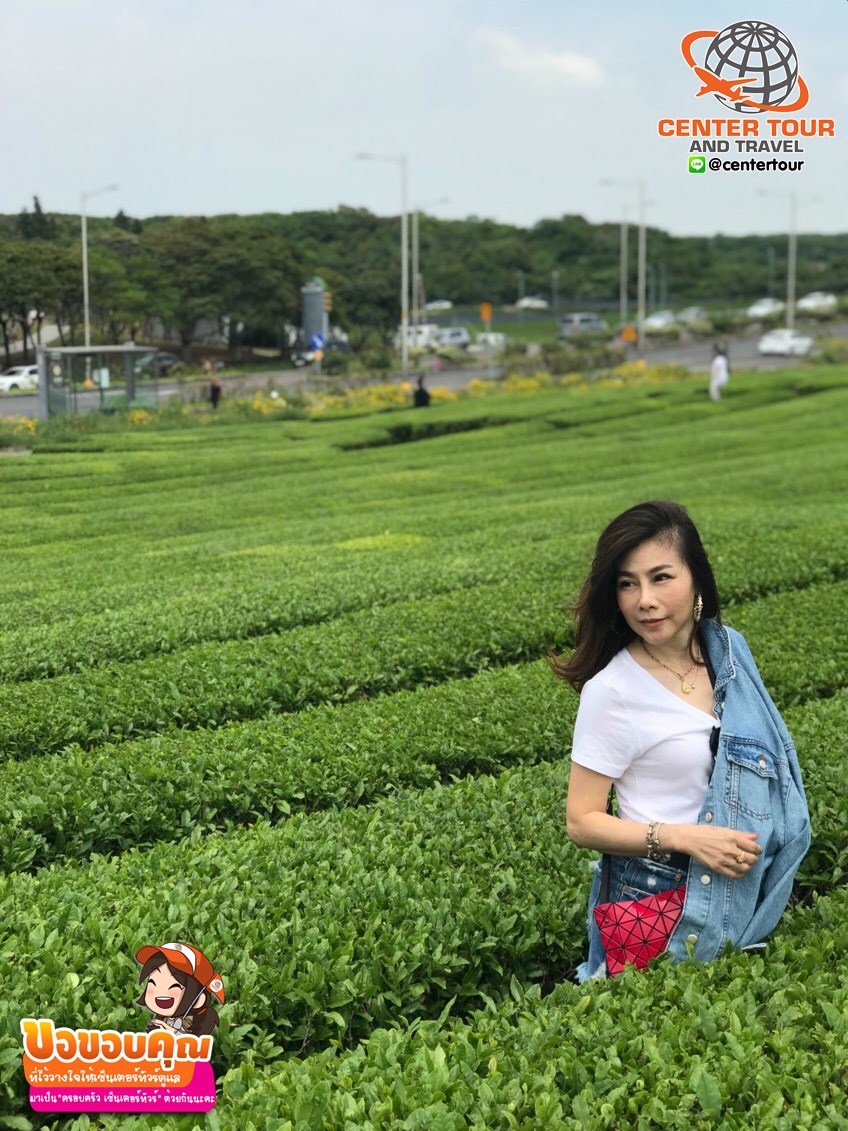 ทัวร์เกาหลี 