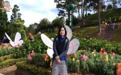 รีวิวลูกค้า ทัวร์เวียดนาม