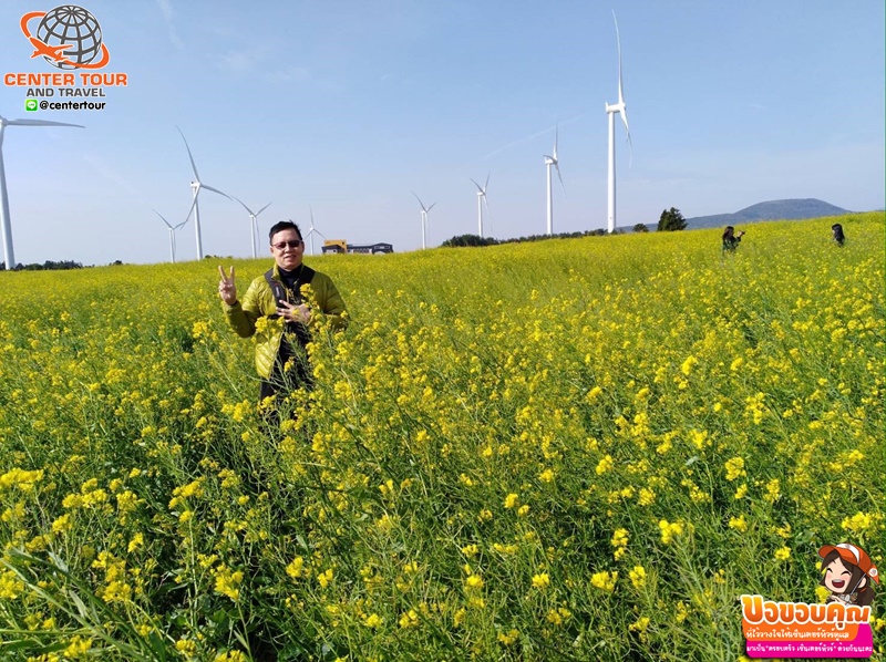 ทัวร์เกาหลี 