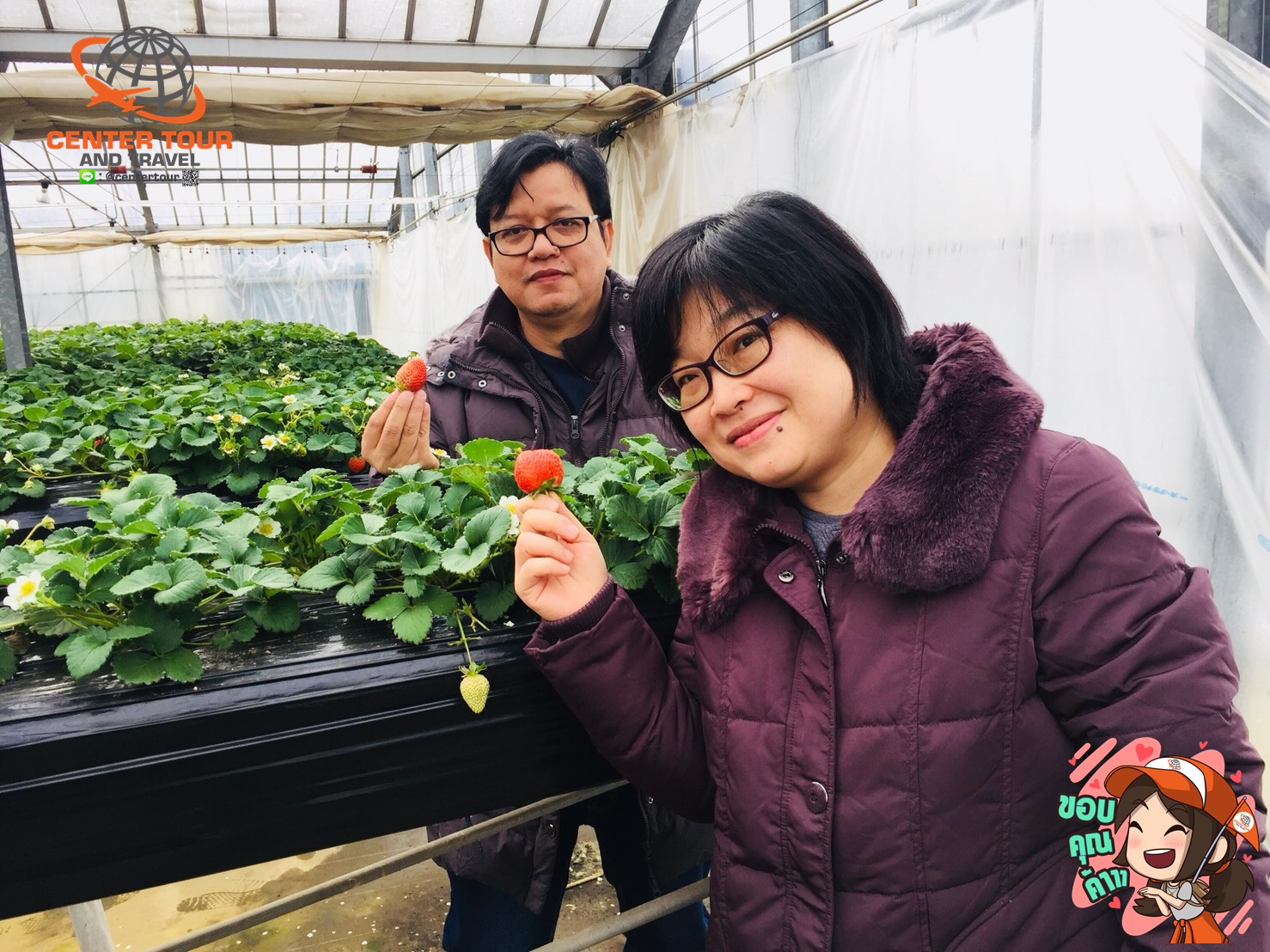 ทัวร์ญี่ปุ่น 