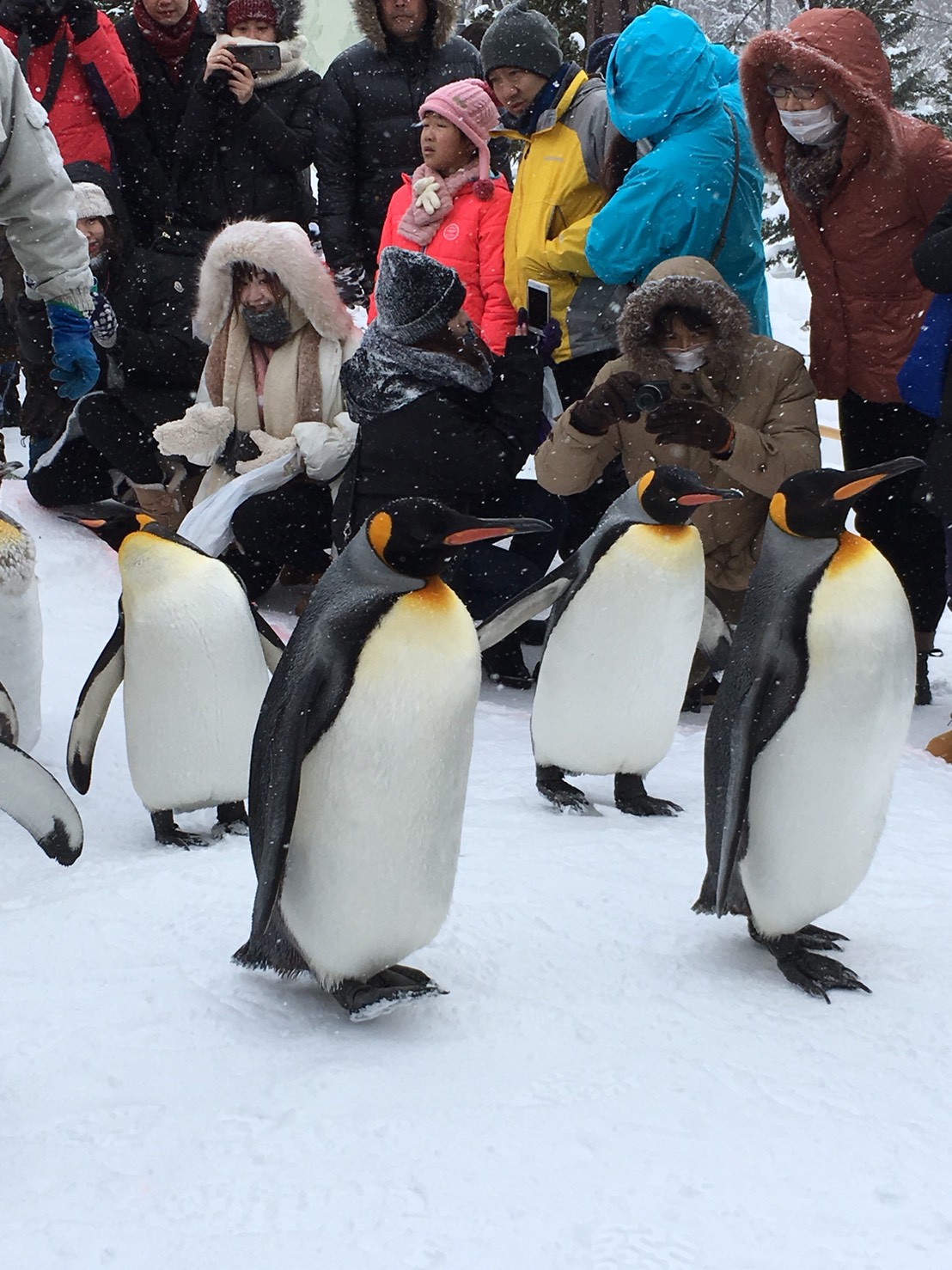 ทัวร์ญี่ปุ่น 