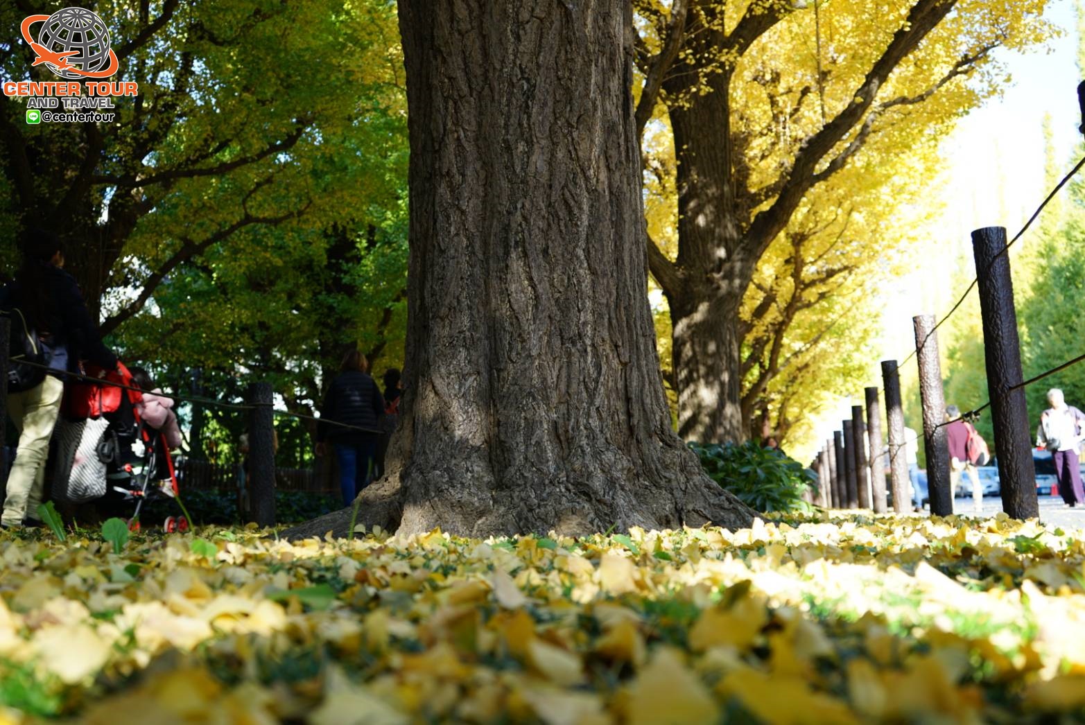 ทัวร์ญี่ปุ่น 