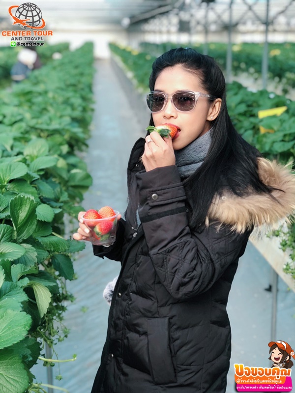 ทัวร์เกาหลี 