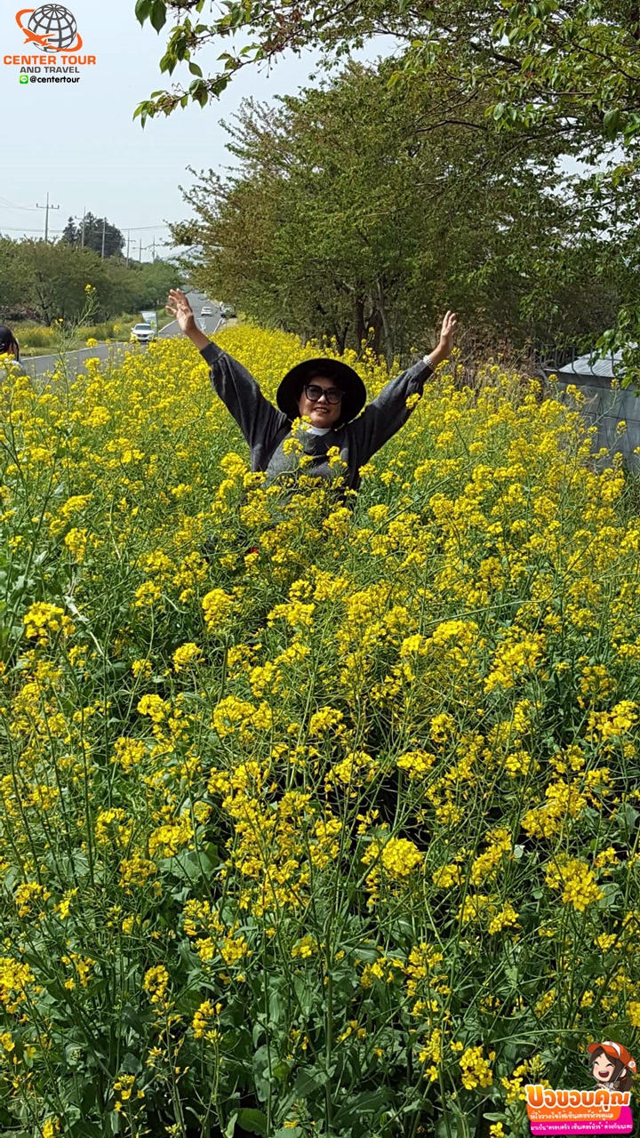 ทัวร์เกาหลี 