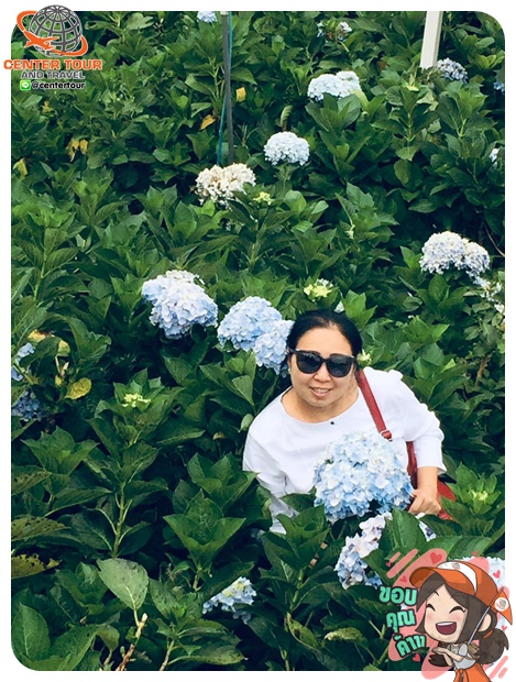 ทัวร์เวียดนาม 