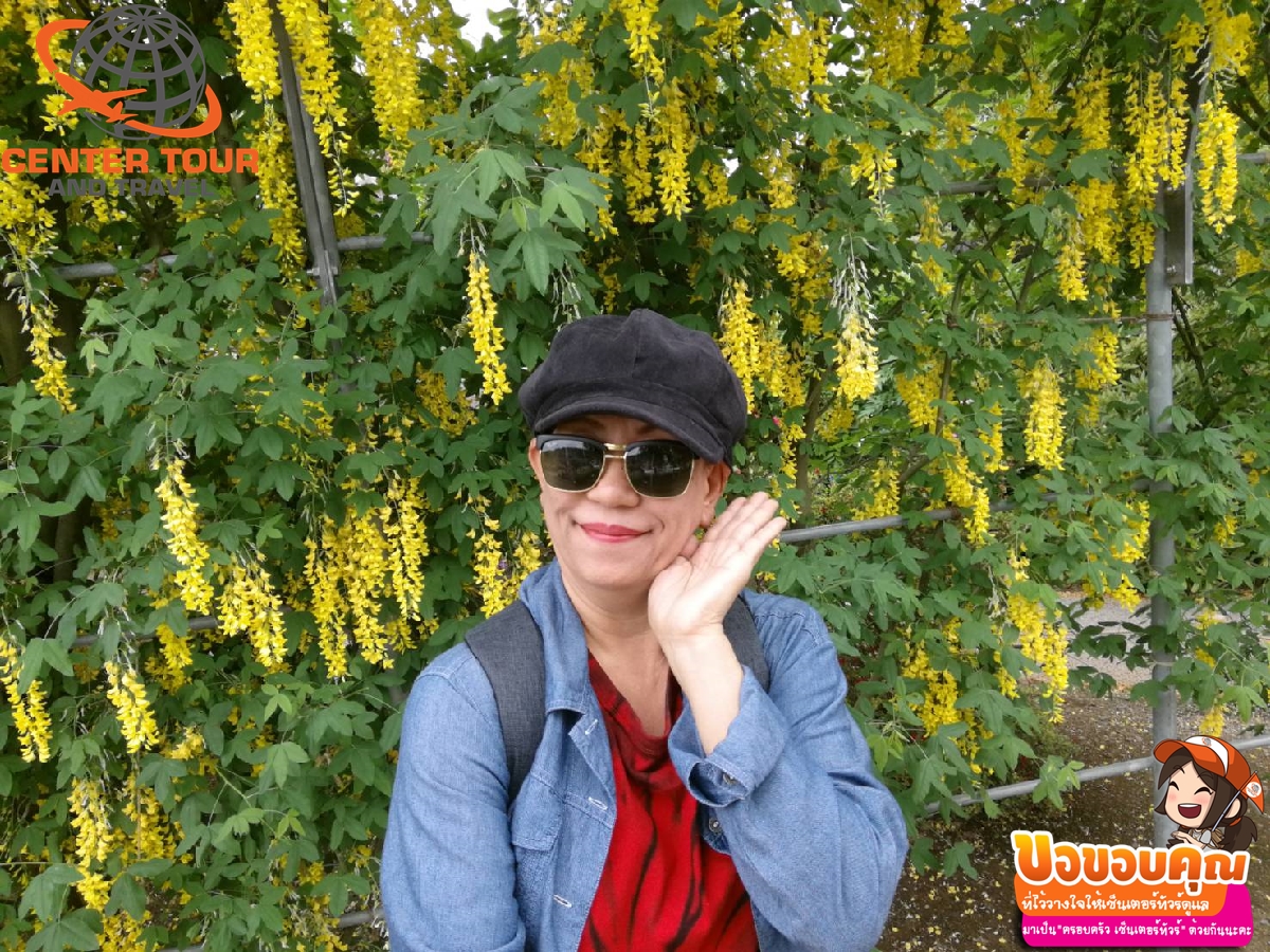 ทัวร์ญี่ปุ่น 