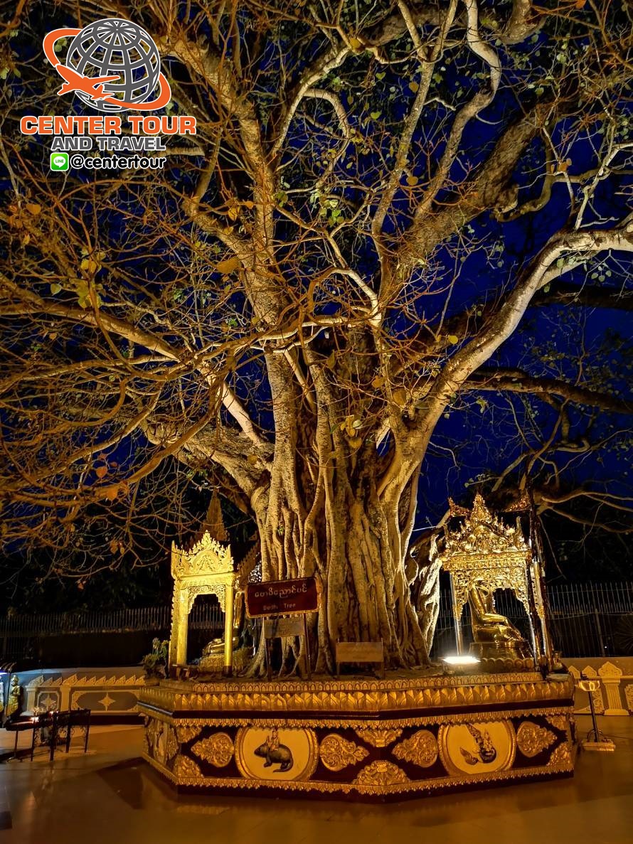 ทัวร์พม่า 