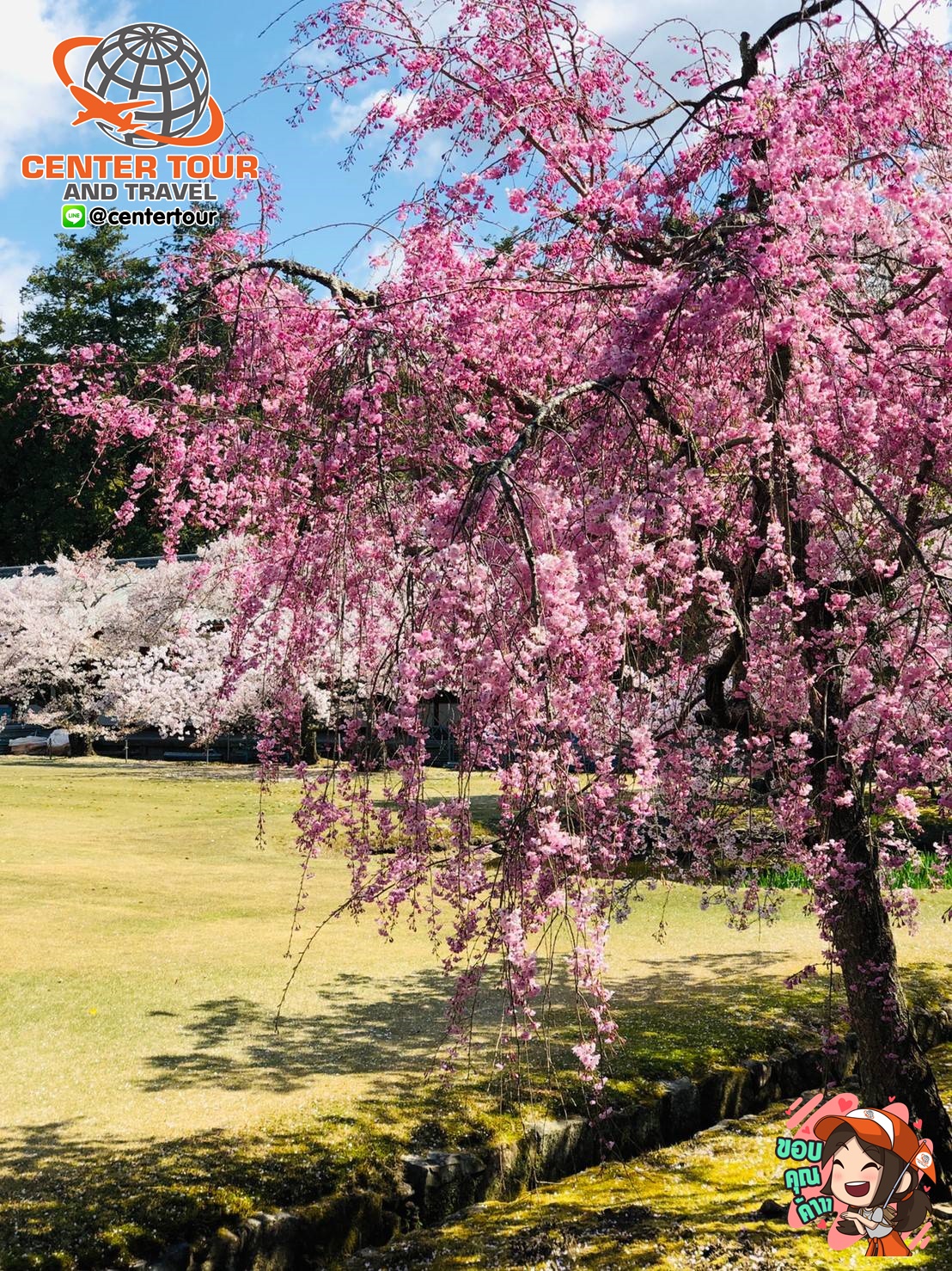 ทัวร์ญี่ปุ่น 