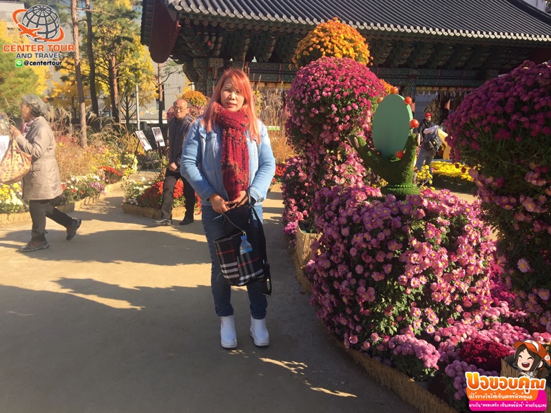 ทัวร์เกาหลี 