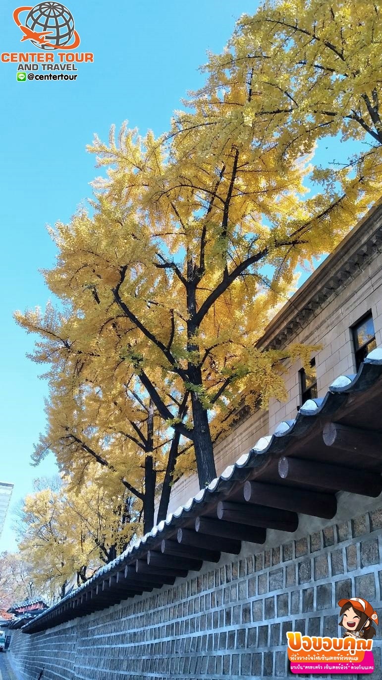 ทัวร์เกาหลี 